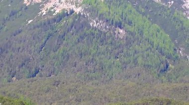Dağ ve Alp tepeleri manzara dağları ve kayalar yeşil tarlalar ormanlar köknar ağaçları doğa ve mavi gökyüzü Alp Imst Tyrol Avusturya.