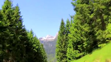 Yeşil tarlalı karayolu üzerindeki bir dağ manzarası dağlarının içinden geçen köknar ağaçları tepeler ve Alpler 'deki mavi gökyüzü Tyrol Avusturya.