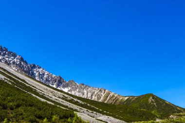 Dağ ve Alp Tepesi manzara dağları ve kayalar yeşil tarlaları olan manzaralar daha az orman ve köknar ağaçları Alpler Imst Tyrol Avusturya 'da kayalık doğa ve mavi gökyüzü.