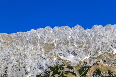Dağ ve Alp Tepesi manzara dağları ve kayalar yeşil tarlaları olan manzaralar daha az orman ve köknar ağaçları Alpler Imst Tyrol Avusturya 'da kayalık doğa ve mavi gökyüzü.