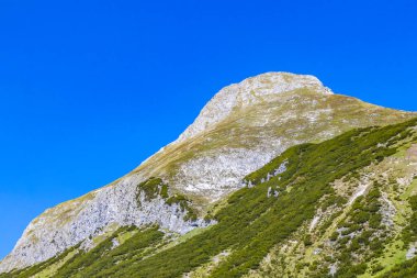 Dağ ve Alp Tepesi manzara dağları ve kayalar yeşil tarlaları olan manzaralar daha az orman ve köknar ağaçları Alpler Imst Tyrol Avusturya 'da kayalık doğa ve mavi gökyüzü.