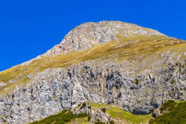 Dağ ve Alp Tepesi manzara dağları ve kayalar yeşil tarlaları olan manzaralar daha az orman ve köknar ağaçları Alpler Imst Tyrol Avusturya 'da kayalık doğa ve mavi gökyüzü.