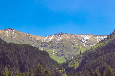 Dağ ve Alp tepeleri manzara dağları ve kayalar yeşil tarlalar ormanlar köknar ağaçları doğa ve mavi gökyüzü Alp Imst Tyrol Avusturya.