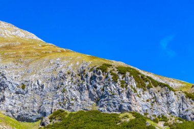 Dağ ve Alp Tepesi manzara dağları ve kayalar yeşil tarlaları olan manzaralar daha az orman ve köknar ağaçları Alpler Imst Tyrol Avusturya 'da kayalık doğa ve mavi gökyüzü.