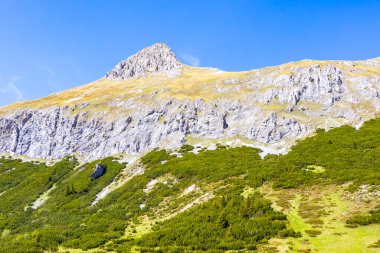 Dağ ve Alp tepeleri manzara dağları ve kayalar yeşil tarlalar ormanlar köknar ağaçları doğa ve mavi gökyüzü Alp Imst Tyrol Avusturya.
