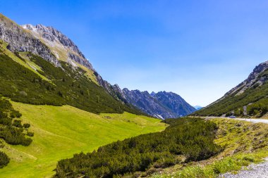 Dağ ve Alp Tepesi 'ndeki yollar dağlar ve kayalar yeşil tarlalarla kaplı manzaralar ormanlar köknar ağaçları ve Alpler' deki mavi gökyüzü Tyrol Avusturya.
