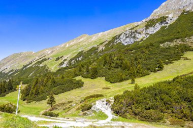 Dağ ve Alp tepeleri manzara dağları ve kayalar yeşil tarlalar ormanlar köknar ağaçları doğa ve mavi gökyüzü Alp Imst Tyrol Avusturya.