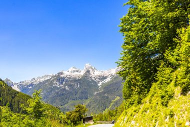 Dağ ve Alp Tepesi 'ndeki yollar dağlar ve kayalar yeşil tarlalarla kaplı manzaralar ormanlar köknar ağaçları ve Alpler' deki mavi gökyüzü Tyrol Avusturya.