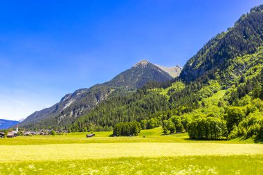 Dağ ve Alp tepeleri manzara dağları ve kayalar yeşil tarlalar ormanlar köknar ağaçları doğa ve mavi gökyüzü Alp Imst Tyrol Avusturya.