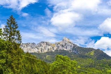 Saeugling dağı ve Alp tepesi zirvesi manzara dağları ve kayalar yeşil tarlalı panorama köknar ağaçları doğa ve mavi gökyüzü Alpler 'de Reutte Tyrol Avusturya.