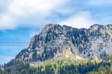 Saeugling dağı ve Alp tepesi zirvesi manzara dağları ve kayalar yeşil tarlalı panorama köknar ağaçları doğa ve mavi gökyüzü Alpler 'de Reutte Tyrol Avusturya.