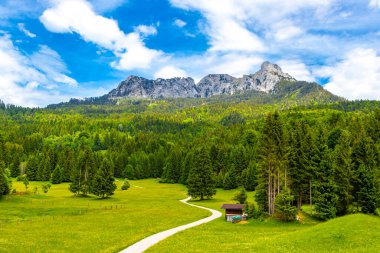 Saeugling dağı ve Alp tepesi zirvesi manzara dağları ve kayalar yeşil tarlalı panorama köknar ağaçları doğa ve mavi gökyüzü Alpler 'de Reutte Tyrol Avusturya.
