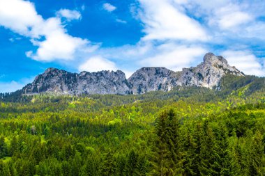 Saeugling dağı ve Alp tepesi zirvesi manzara dağları ve kayalar yeşil tarlalı panorama köknar ağaçları doğa ve mavi gökyüzü Alpler 'de Reutte Tyrol Avusturya.