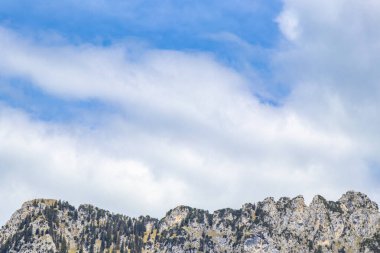 Saeugling dağı ve Alp tepesi zirvesi manzara dağları ve kayalar yeşil tarlalı panorama köknar ağaçları doğa ve mavi gökyüzü Alpler 'de Reutte Tyrol Avusturya.