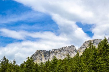 Saeugling dağı ve Alp tepesi zirvesi manzara dağları ve kayalar yeşil tarlalı panorama köknar ağaçları doğa ve mavi gökyüzü Alpler 'de Reutte Tyrol Avusturya.