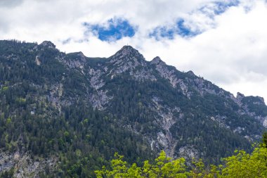 Dağ ve Alp Tepesi manzara dağları ve kayalar yeşil tarlalarla manzara manzarası çam ağaçları doğa ve Alpler 'deki bulutlu mavi gökyüzü Tyrol Avusturya.