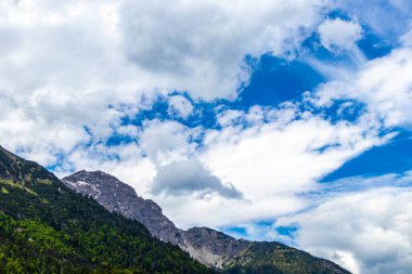 Dağ ve Alp Tepesi manzara dağları ve kayalar yeşil tarlalarla manzara manzarası çam ağaçları doğa ve Alpler 'deki bulutlu mavi gökyüzü Tyrol Avusturya.