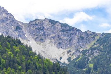Dağ ve Alp Tepesi manzara dağları ve kayalar yeşil tarlalarıyla manzara ormanı köknar ağaçları doğa ve Alpler 'deki bulutlu mavi gökyüzü Tyrol Avusturya.