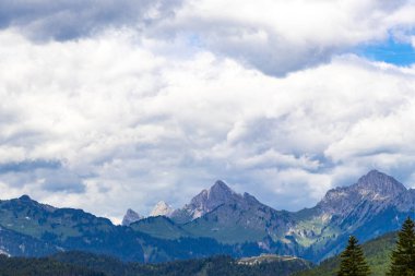 Dağ ve Alp Tepesi manzara dağları ve kayalar yeşil tarlalarla manzara manzarası çam ağaçları doğa ve Alpler 'deki bulutlu mavi gökyüzü Tyrol Avusturya.