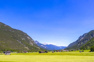 Dağ ve Alp tepeleri manzara dağları ve kayalar yeşil tarlalar ormanlar köknar ağaçları doğa ve mavi gökyüzü Alp Imst Tyrol Avusturya.