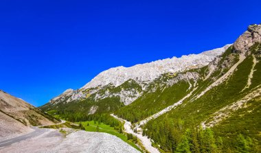 Dağ ve Alp Tepesi 'ndeki yollar dağlar ve kayalar yeşil tarlalarla kaplı manzaralar ormanlar köknar ağaçları ve Alpler' deki mavi gökyüzü Tyrol Avusturya.