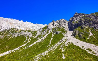 Dağ ve Alp tepeleri manzara dağları ve kayalar yeşil tarlalar ormanlar köknar ağaçları doğa ve mavi gökyüzü Alp Imst Tyrol Avusturya.
