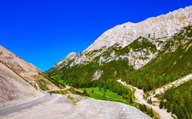 Dağ ve Alp Tepesi 'ndeki yollar dağlar ve kayalar yeşil tarlalarla kaplı manzaralar ormanlar köknar ağaçları ve Alpler' deki mavi gökyüzü Tyrol Avusturya.