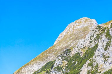 Dağ ve Alp Tepesi manzara dağları ve kayalar yeşil tarlaları olan manzaralar daha az orman ve köknar ağaçları Alpler Imst Tyrol Avusturya 'da kayalık doğa ve mavi gökyüzü.