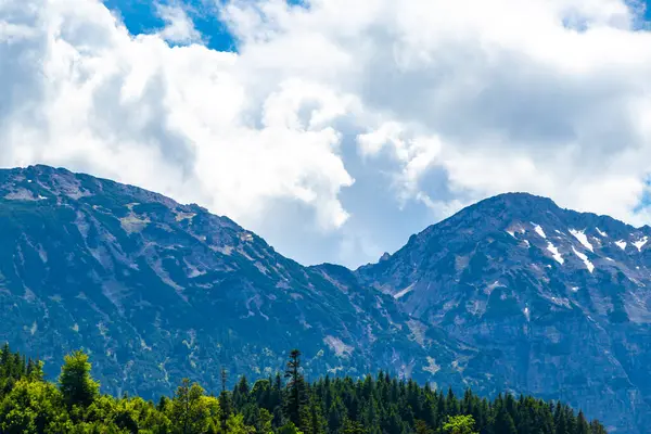 Dağ ve Alp Tepesi manzara dağları ve kayalar yeşil tarlalarla manzara manzarası çam ağaçları doğa ve Alpler 'deki bulutlu mavi gökyüzü Tyrol Avusturya.