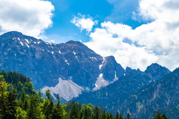 Dağ ve Alp Tepesi manzara dağları ve kayalar yeşil tarlalarla manzara manzarası çam ağaçları doğa ve Alpler 'deki bulutlu mavi gökyüzü Tyrol Avusturya.