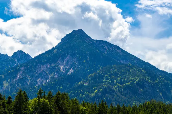Dağ ve Alp Tepesi manzara dağları ve kayalar yeşil tarlalarla manzara manzarası çam ağaçları doğa ve Alpler 'deki bulutlu mavi gökyüzü Tyrol Avusturya.