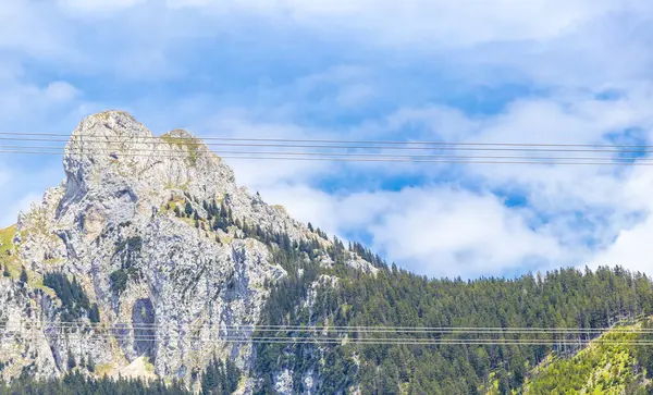 Saeugling dağı ve Alp tepesi zirvesi manzara dağları ve kayalar yeşil tarlalı panorama köknar ağaçları doğa ve mavi gökyüzü Alpler 'de Reutte Tyrol Avusturya.