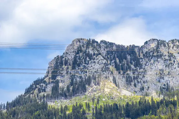 Saeugling dağı ve Alp tepesi zirvesi manzara dağları ve kayalar yeşil tarlalı panorama köknar ağaçları doğa ve mavi gökyüzü Alpler 'de Reutte Tyrol Avusturya.