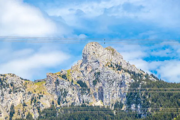Saeugling dağı ve Alp tepesi zirvesi manzara dağları ve kayalar yeşil tarlalı panorama köknar ağaçları doğa ve mavi gökyüzü Alpler 'de Reutte Tyrol Avusturya.