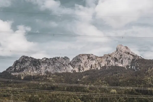 Saeugling dağı ve Alp tepesi zirvesi manzara dağları ve kayalar yeşil tarlalı panorama köknar ağaçları doğa ve mavi gökyüzü Alpler 'de Reutte Tyrol Avusturya.