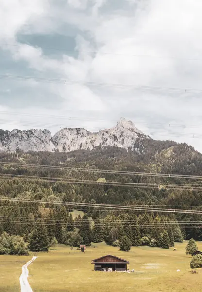 Saeugling dağı ve Alp tepesi zirvesi manzara dağları ve kayalar yeşil tarlalı panorama köknar ağaçları doğa ve mavi gökyüzü Alpler 'de Reutte Tyrol Avusturya.