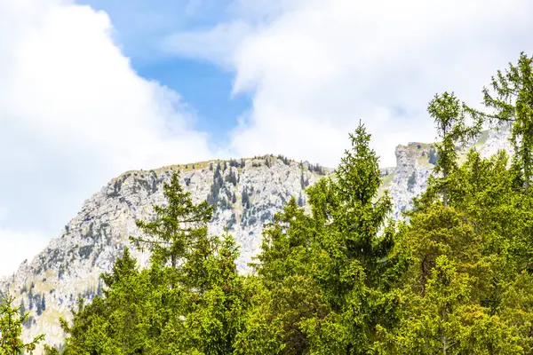 Dağların ve Alp tepelerinin etrafını saran tepe manzaralı dağlar ve kayalar yeşil tarlalı panorama köknar ağaçları doğa ve mavi gökyüzü Alpler 'de Reutte Tyrol Avusturya.