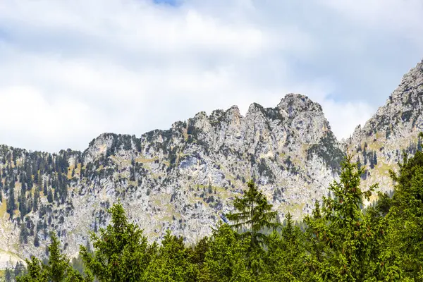 Dağların ve Alp tepelerinin etrafını saran tepe manzaralı dağlar ve kayalar yeşil tarlalı panorama köknar ağaçları doğa ve mavi gökyüzü Alpler 'de Reutte Tyrol Avusturya.