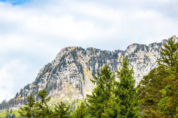 Saeugling dağı ve Alp tepesi zirvesi manzara dağları ve kayalar yeşil tarlalı panorama köknar ağaçları doğa ve mavi gökyüzü Alpler 'de Reutte Tyrol Avusturya.