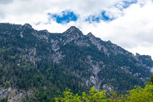 Dağ ve Alp Tepesi manzara dağları ve kayalar yeşil tarlalarla manzara manzarası çam ağaçları doğa ve Alpler 'deki bulutlu mavi gökyüzü Tyrol Avusturya.