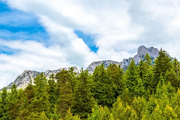 Saeugling dağı ve Alp tepesi zirvesi manzara dağları ve kayalar yeşil tarlalı panorama köknar ağaçları doğa ve mavi gökyüzü Alpler 'de Reutte Tyrol Avusturya.