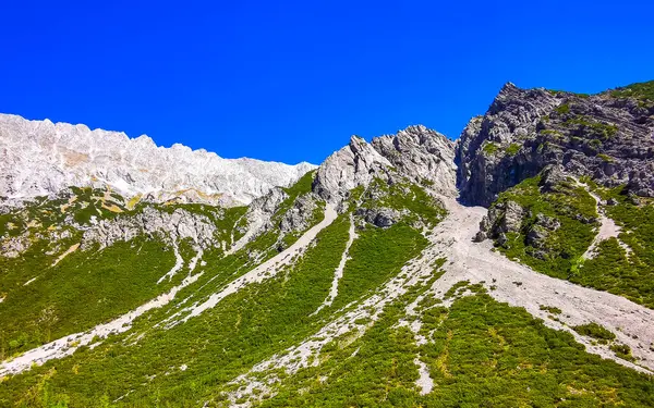 Dağ ve Alp tepeleri manzara dağları ve kayalar yeşil tarlalar ormanlar köknar ağaçları doğa ve mavi gökyüzü Alp Imst Tyrol Avusturya.