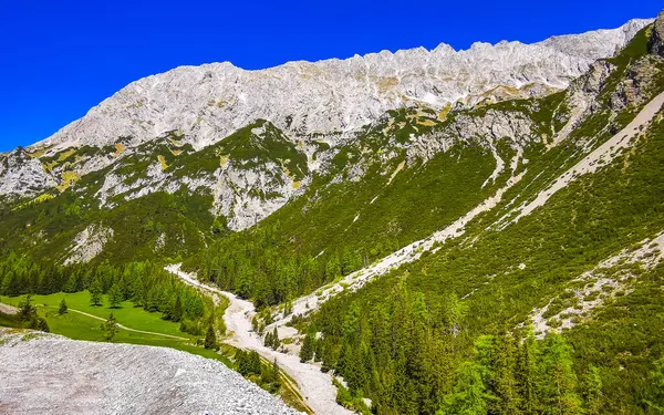 Dağ ve Alp tepeleri manzara dağları ve kayalar yeşil tarlalar ormanlar köknar ağaçları doğa ve mavi gökyüzü Alp Imst Tyrol Avusturya.