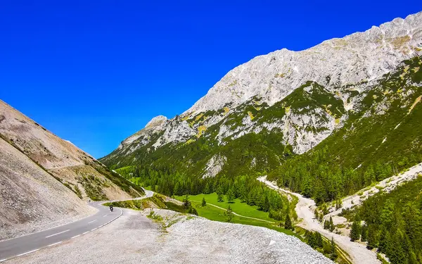 Dağ ve Alp Tepesi 'ndeki yollar dağlar ve kayalar yeşil tarlalarla kaplı manzaralar ormanlar köknar ağaçları ve Alpler' deki mavi gökyüzü Tyrol Avusturya.