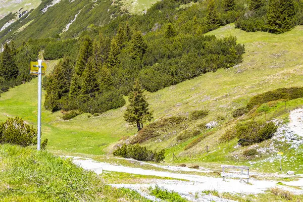 Dağ ve Alp tepeleri manzara dağları ve kayalar yeşil tarlalar ormanlar köknar ağaçları doğa ve mavi gökyüzü Alp Imst Tyrol Avusturya.