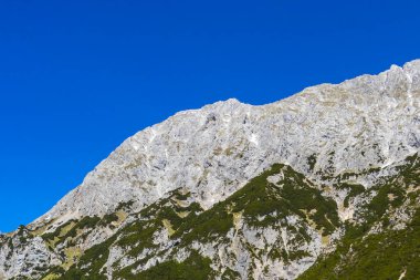 Dağ ve Alp Tepesi manzara dağları ve kayalar yeşil tarlaları olan manzaralar daha az orman ve köknar ağaçları Alpler Imst Tyrol Avusturya 'da kayalık doğa ve mavi gökyüzü.