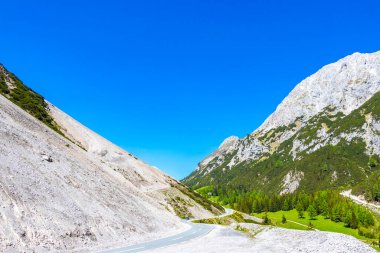 Dağ ve Alp Tepesi 'ndeki yollar dağlar ve kayalar yeşil tarlalarla kaplı manzaralar ormanlar köknar ağaçları ve Alpler' deki mavi gökyüzü Tyrol Avusturya.