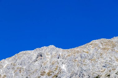 Dağ ve Alp Tepesi manzara dağları ve kayalar yeşil tarlaları olan manzaralar daha az orman ve köknar ağaçları Alpler Imst Tyrol Avusturya 'da kayalık doğa ve mavi gökyüzü.