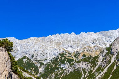 Dağ ve Alp Tepesi manzara dağları ve kayalar yeşil tarlaları olan manzaralar daha az orman ve köknar ağaçları Alpler Imst Tyrol Avusturya 'da kayalık doğa ve mavi gökyüzü.