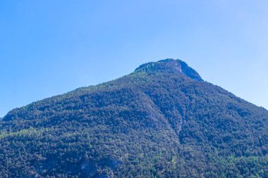 Dağ ve Alp tepeleri manzara dağları ve kayalar yeşil tarlalar ormanlar köknar ağaçları doğa ve mavi gökyüzü Alp Imst Tyrol Avusturya.